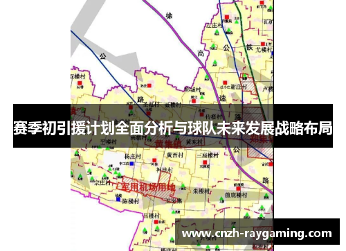 赛季初引援计划全面分析与球队未来发展战略布局