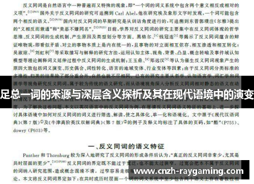 足总一词的来源与深层含义探析及其在现代语境中的演变 足总一词的来源与深层含义探析及其在现代语境中的演变