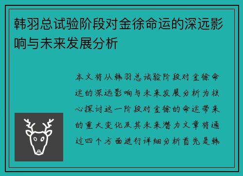 韩羽总试验阶段对金徐命运的深远影响与未来发展分析