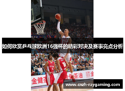 如何欣赏乒乓球欧洲16强杯的精彩对决及赛事亮点分析 如何欣赏乒乓球欧洲16强杯的精彩对决及赛事亮点分析